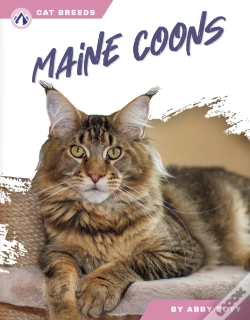 Capa do artigo Maine Coons