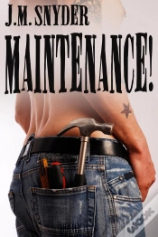 Capa do artigo Maintenance!