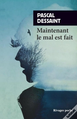 Capa do artigo Maintenant Le Mal Est Fait