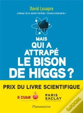 Mais Qui A Attrape Le Bison De Higgs ?