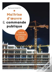 Capa do artigo Maîtrise D
