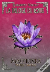 Maîtriser Votre Destin