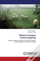 Maize-Cowpea Intercropping