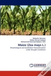Capa do artigo Maize (Zea Mays L.)