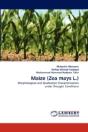 Maize (Zea Mays L.) - Preview