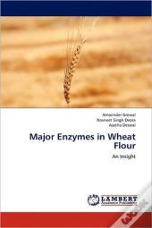 Major Enzymes In Wheat Flour