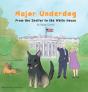 Major Underdog - Preview