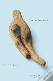 Capa do artigo Major Verbs