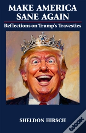 Capa do artigo Make America Sane Again