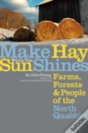 Capa do artigo Make Hay While The Sun Shines