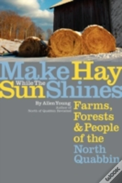 Capa do artigo Make Hay While The Sun Shines