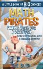 Making A Sail For A Pirate Ship - Preview