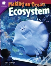 Making An Ocean Ecosystem