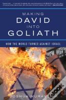 Making David Into Goliath