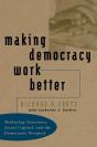 Making Democracy Work Better - Preview