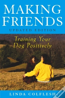 Capa do artigo Making Friends