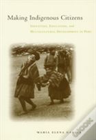 Making Indigenous Citizens