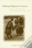 Making Indigenous Citizens