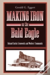 Making Iron On The Bald Eagle