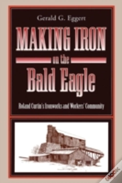 Capa do artigo Making Iron On The Bald Eagle