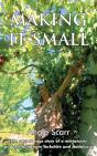 Making It Small - Preview