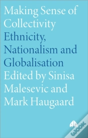 Capa do artigo Making Sense Of Collectivity