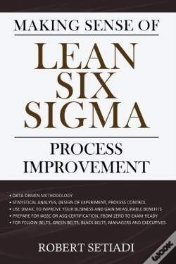 Capa do artigo Making Sense Of Lean Six Sigma Process Improvement