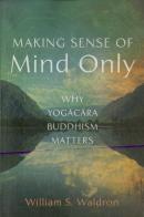 Making Sense Of Mind Only