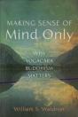 Making Sense Of Mind Only - Preview
