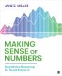 Making Sense Of Numbers - Preview