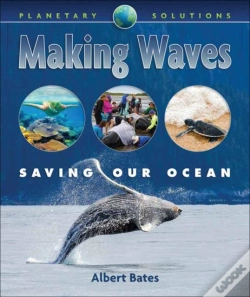 Capa do artigo Making Waves