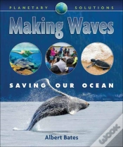 Capa do artigo Making Waves
