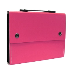 Capa do artigo Pink Portfolio Bag with 12 Compartments