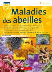 Capa do artigo Maladies Des Abeilles