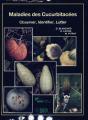 Maladies Des Cucurbitacées - Preview