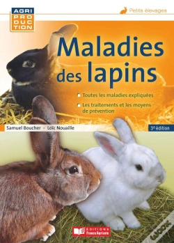 Capa do artigo Maladies Des Lapins