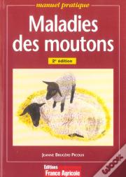 Maladies Des Moutons