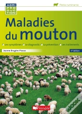Maladies  Du Mouton (4e Édition)