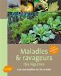 Maladies Et Ravageurs Des Légumes - Preview