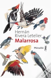 Capa do artigo Malarrossa