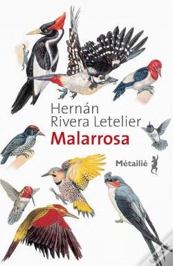 Capa do artigo Malarrossa