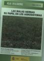 Malas Hierbas, Las - Preview