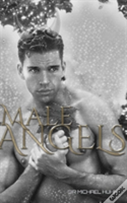 Capa do artigo Male Angels  Drawing Blank Journal