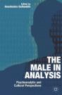 Male In Analysis - Preview