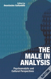 Capa do artigo Male In Analysis