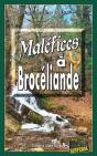 Maléfices À Brocéliande - Preview