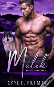 Capa do artigo Malek