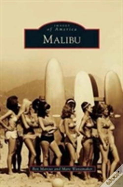 Capa do artigo Malibu