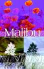 Malibu - Preview