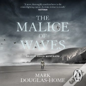 Capa do artigo Malice Of Waves